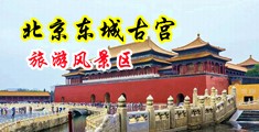 吸胖大逼亲肥逼水添陰蒂頭中国北京-东城古宫旅游风景区